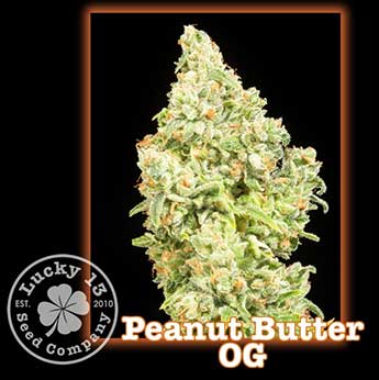 Peanut Butter OG