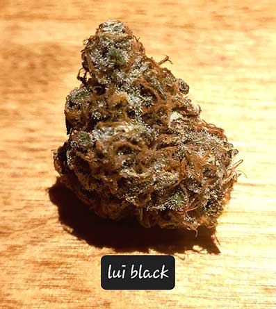 LUI Black