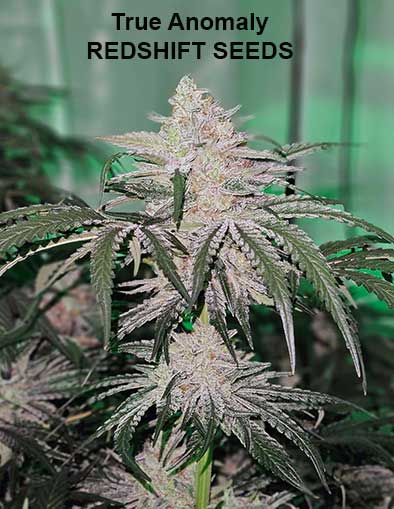 True Anomaly by Redshift Seeds